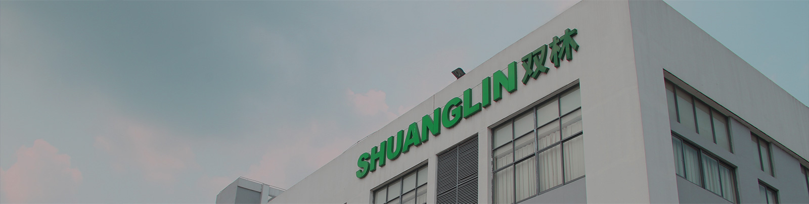 开云中国股份站群